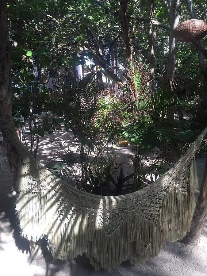 Agua Eco Design Hotel Tulum 4*,