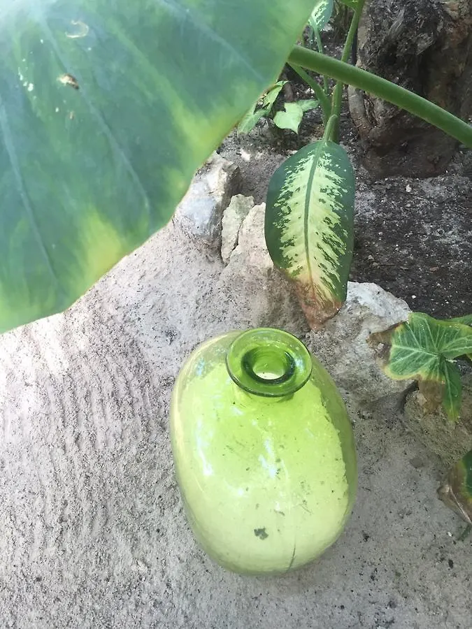Agua Eco Design Hotel
